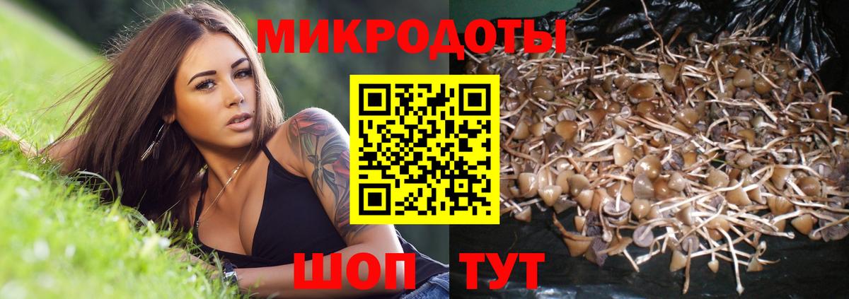 Псилоцибиновые грибы прущие грибы  Вход с VPN  Красноуфимск  Псилоцибиновые грибы прущие грибы 